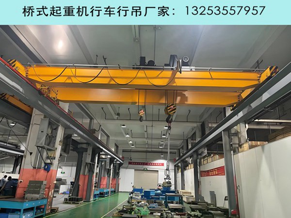 <b>不同类型的双梁行车行吊起升机构有何特</b>